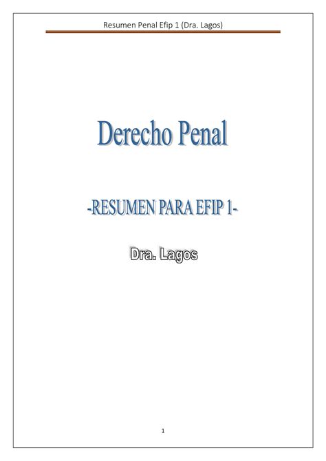 Nuevo Resumen Penal 1 Efip 1 Sil Lagos Bienvenido Y Bienvenida Al