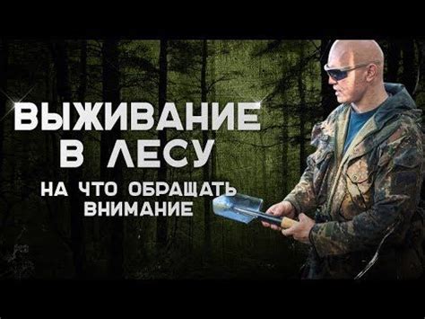 Выживание в лесу. На что обращать внимание когда оказался в лесу |Наука ...
