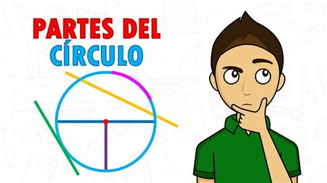 Partes Del Circulo