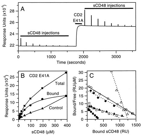 The Role Of Charged Residues Mediating Low Affinity Proteinprotein