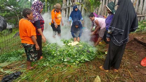 Tradisi Memasak Dengan Bakar Batu Warga Papua Kompaspedia