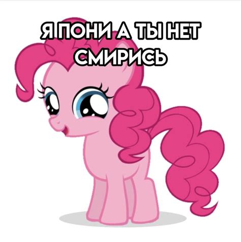 я пони а ты нет смирись in 2024 | Pony, My little pony, Fluttershy