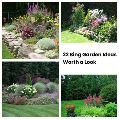 22 Bing Garden Ideas Worth a Look | SharonSable