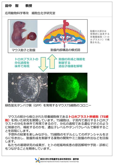 田中 智 東京大学大学院農学生命科学研究科・農学部