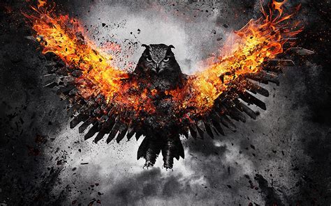 Fire Owl Wallpapers Top Free Fire Owl Backgrounds Wallpaperaccess