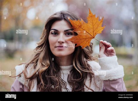 autumn maple leaf copy  res stock photography  images alamy