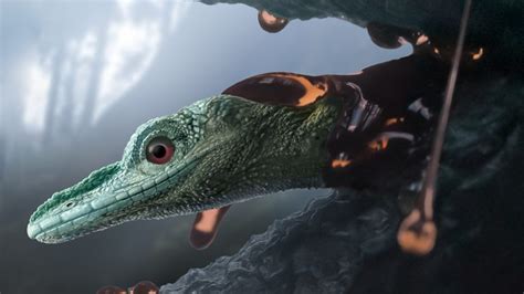 Ancient creature revealed as lizard, not a teeny dinosaur