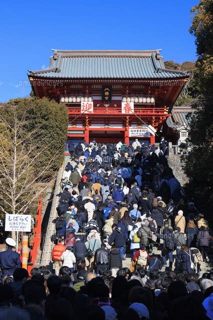 鶴岡八幡宮の初詣風景の写真素材 Fyi07530304 ストックフォトの Qlean Market