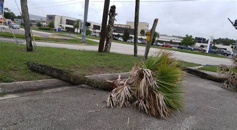 PHOTO GALLERY: Hurricane Hermine damage | Plant City Observer