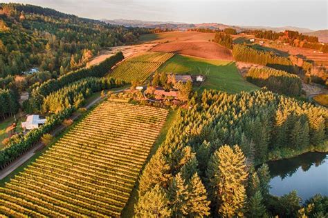 Willamette Valley Vineyard And Winery For Sale W Home And Equine