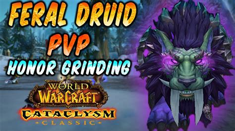 Cataclysm Feral Druid PvP Honor Grinding Druid Feral Dps PoV