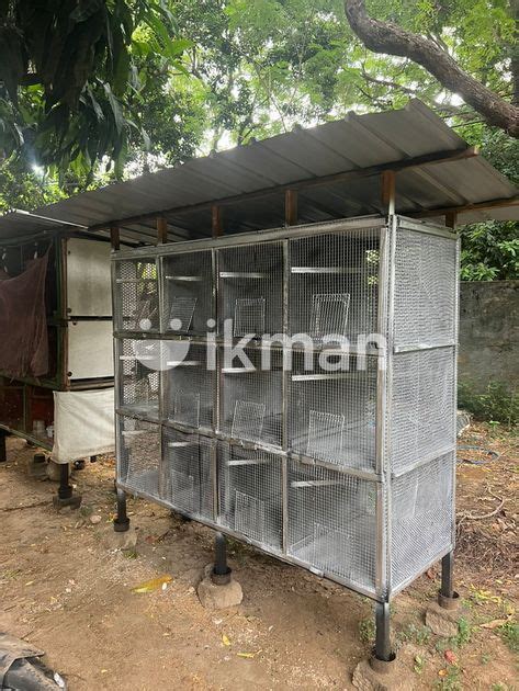 Bird Cages For Sale In Jaffna City Ikman