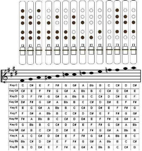 5 Hole Pentatonic Flute Chart Native American Flute Flute Native