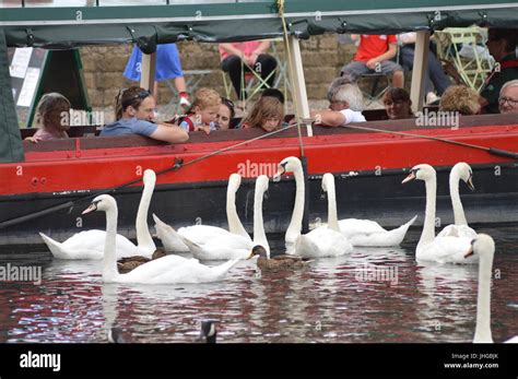 Newbury Canal Barge Stock Photo - Alamy