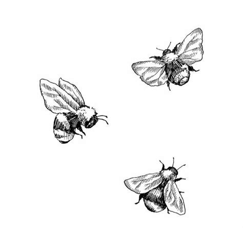 Pin By Paula Llopis On Tattoo Bee Drawing Bee Tattoo Bumble Bee Tattoo