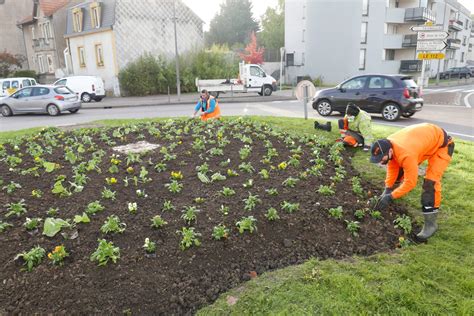 Des Travaux Dans La Ville Fleurissement Terville