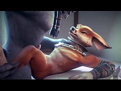 Copilation 2 Furry Yiff Gay Xxx Mobile Porno Videos Movies IPornTV Net