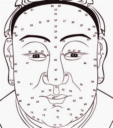 Face Reading Free Chinese Physiognomy Techniques To Know Personality