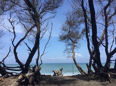 Pantai Goa Cemara Foto Lokasi Fasilitas Dan Htm