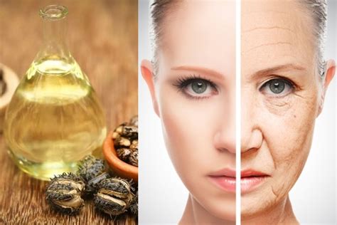 How To Use Castor Oil To Remove Wrinkles 2knowandvote Wrinkle Remover Castor Oil Wrinkles