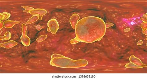 119 Imágenes Fotos De Stock Objetos En 3d Y Vectores Sobre Mycoplasma