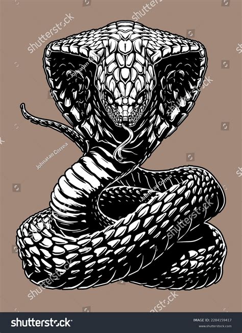 Snake Cobra Tattoo Vector Illustration Stock Vector (Royalty Free ...