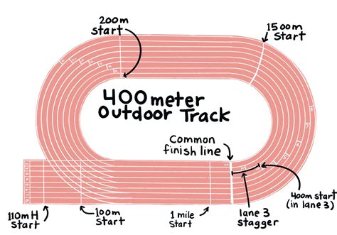 A Runner’s Introduction to the Track | Sifuentes Coaching