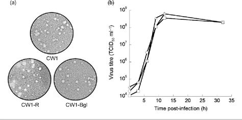 Fowlpox virus | Semantic Scholar