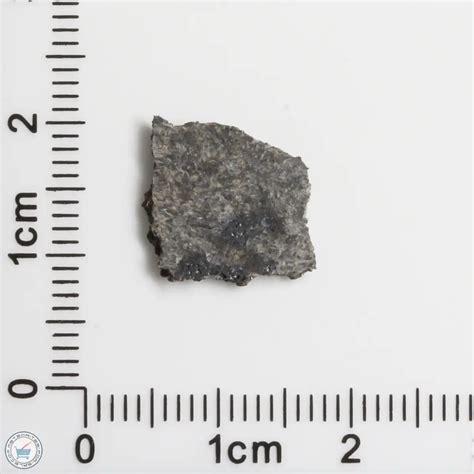 Nwa 15016 Martian Meteorite 15016 9 The Meteorite Exchange Inc