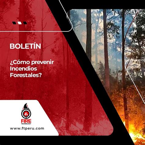 ¿cómo Prevenir Incendios Forestales