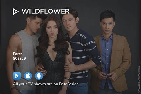 Watch Wildflower Season 2 Episode 29 Streaming