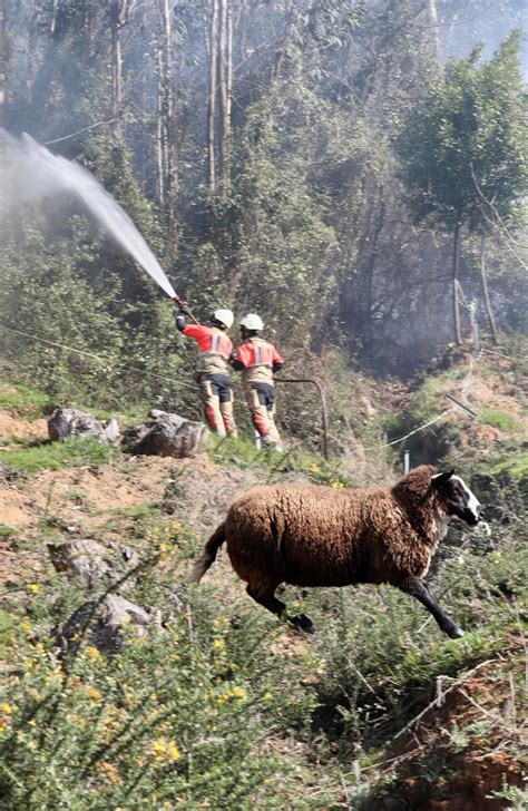 Vento Forte E Siccit Oltre Incendi Divampano Nel Nord Della