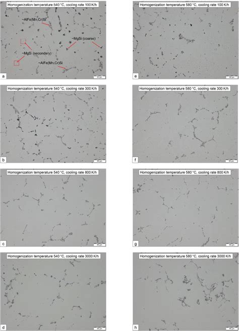 Optical Micrographs Of Samples Homogenized At 540 C A D And 580 C