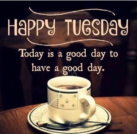 Tuesday Morning Coffee Quotes – VitalCute