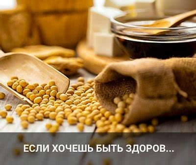 Соевый продукт в Шуе (@soevi_produkt_) • Instagram photos and videos