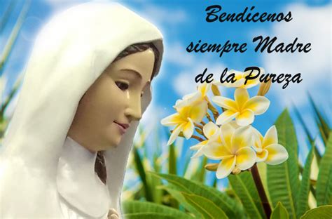 Im Genes De La Virgen De La Pureza Gracias Madre Celestial