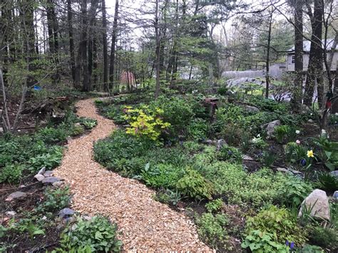 Wood Chips Make A Soft Pathway Mittra Productive Landscapes