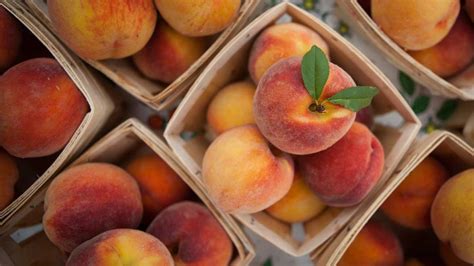 Surprising Health Benefits And Uses Of Peaches