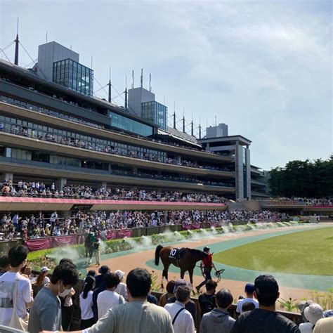 東京競馬場で逢おう ユニコーンs 府中白糸台日記