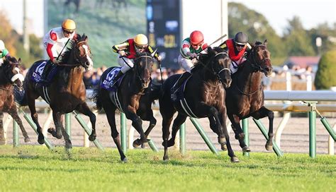 【ジャパンカップ2023予想】本命馬候補5選と穴馬候補5選・コース適性と解説・血統馬5選・過去10年と傾向3連単 ｜ 3連単6点勝負！競馬で