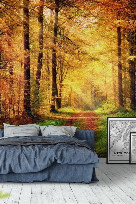 Autumn forest 2 Wall Mural - Wallpaper Bedroom Wall Paint, Bedroom ...