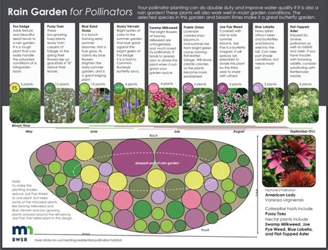 How to Plant a Pollinator Garden - Sargent's Nursery