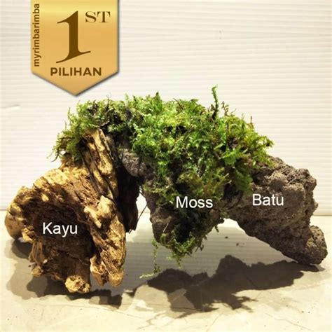 Promo Batu Kayu Moss Dng Kolong Goa Hiasan Aquarium Tanaman