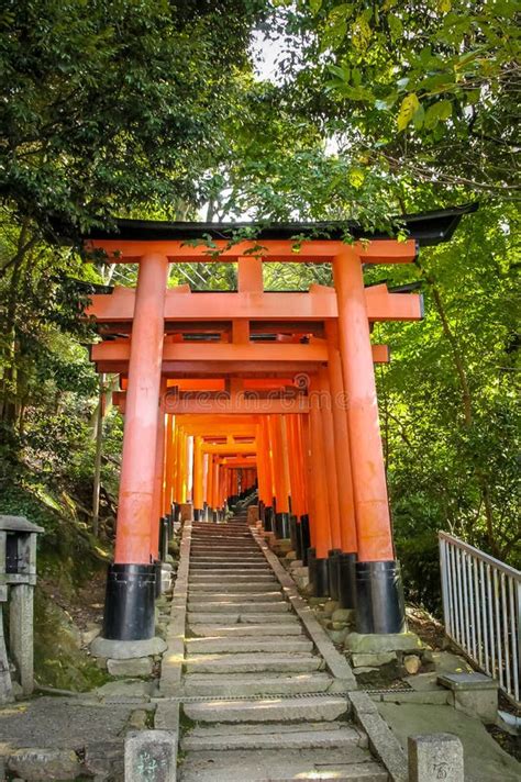 Torii Gates in Fushimi Inari Shrine - Kyoto, Japan Stock Photo - Image ...