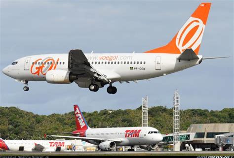 La Aerol Nea Brasile A Gol Eleva En Sus Vuelos A Argentina