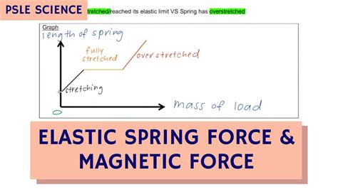 Psle Science Elastic Spring Force Magnetic Force Summary Tta Psle