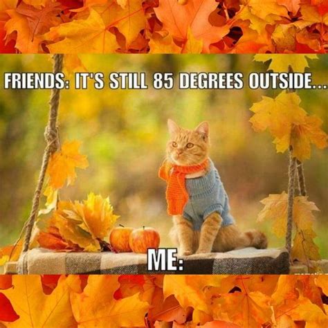 Best October Memes 2024 For A Month Of Lols Fall Memes Memes Fall Humor