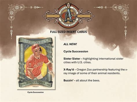 Nico Hoerner CUB 2024 Topps ALLEN GINTER 3 Case 36 Box PLAYER Break