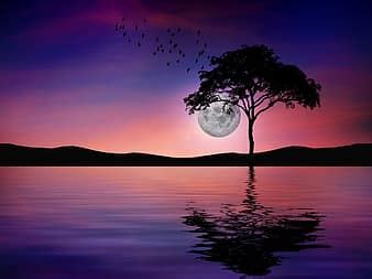 Mond Reflexion Meer Nacht Landschaft Mondlicht Wasser Natur