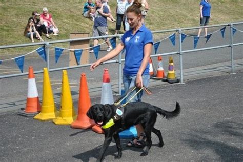 Guide Dogs Training School (Redbridge, England): Address, Phone Number - Tripadvisor